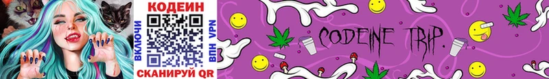 Купить где  Томмот  Codein Purple Drank 