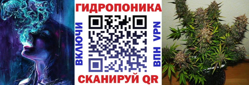 Конопля план  Купить где  Томмот 